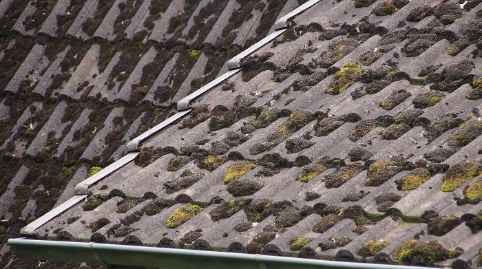 Roof moss removal